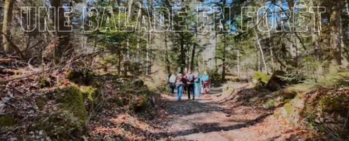 Balade en forêt.jpg